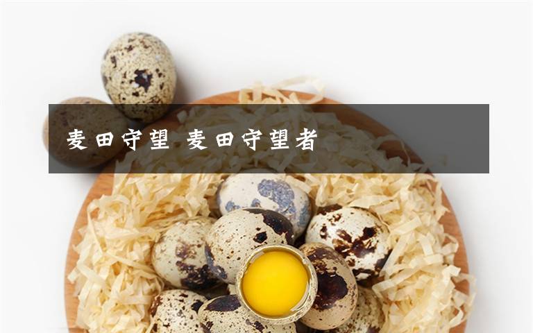 麦田守望 麦田守望者