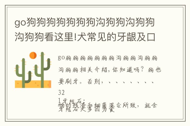 go狗狗狗狗狗狗狗沟狗狗沟狗狗沟狗狗看这里!犬常见的牙龈及口腔问题
