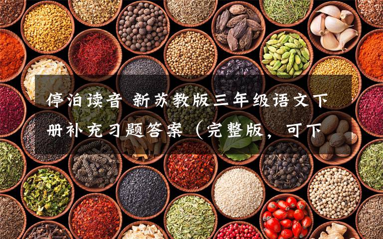 停泊读音 新苏教版三年级语文下册补充习题答案(完整版,可下载)