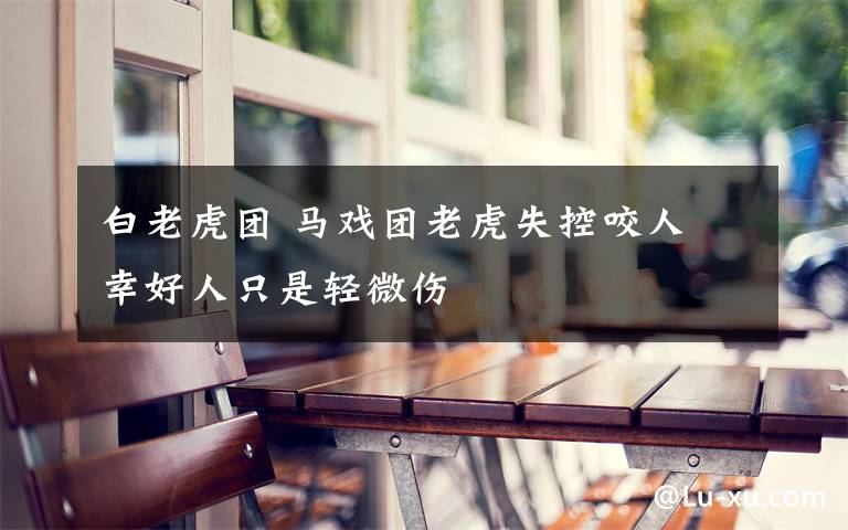 白老虎团 马戏团老虎失控咬人 幸好人只是轻微伤