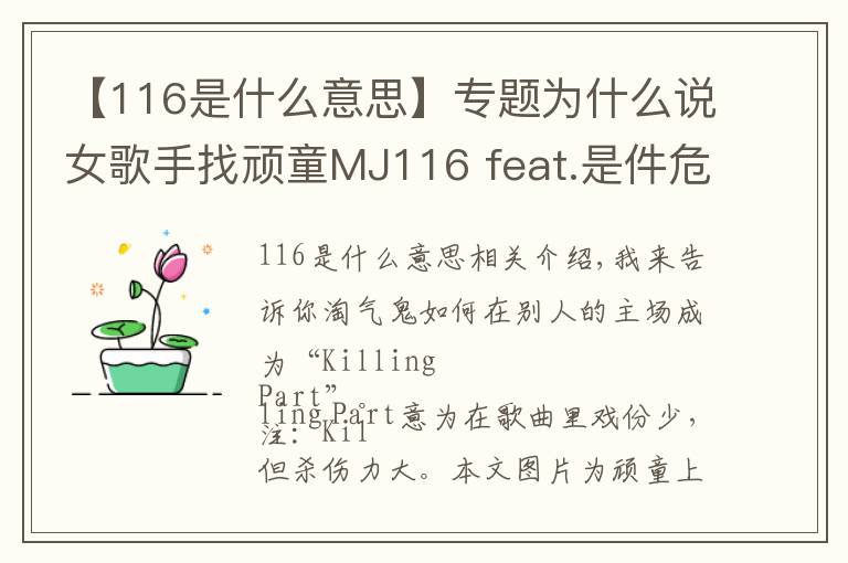 【116是什么意思】专题为什么说女歌手找顽童MJ116 feat.是件危险的事？