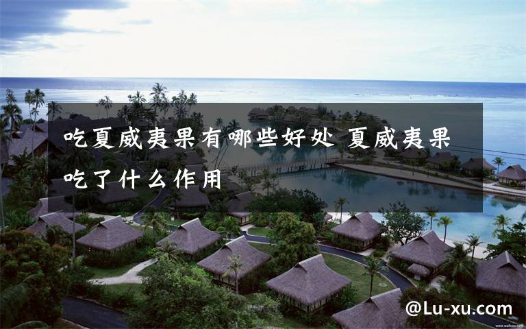 吃夏威夷果有哪些好处 夏威夷果吃了什么作用