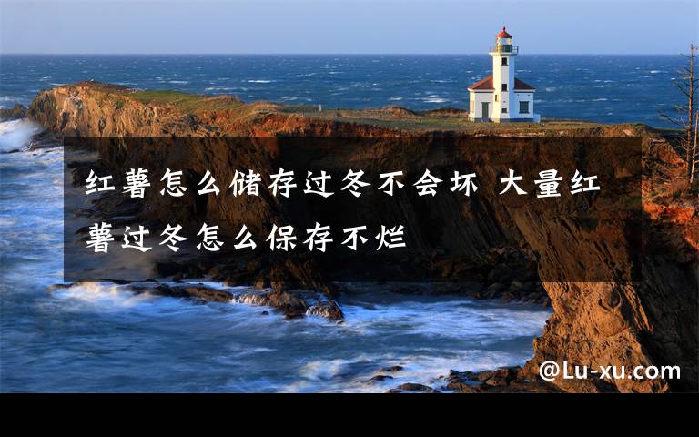 红薯怎么储存过冬不会坏 大量红薯过冬怎么保存不烂