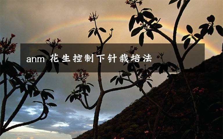 anm 花生控制下针栽培法