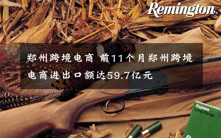 郑州跨境电商 前11个月郑州跨境电商进出口额达59.7亿元