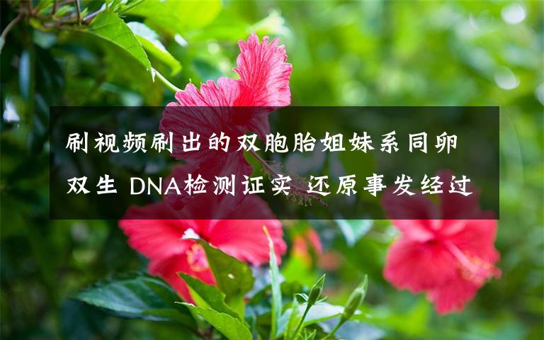 刷视频刷出的双胞胎姐妹系同卵双生 DNA检测证实 还原事发经过及背后真相!
