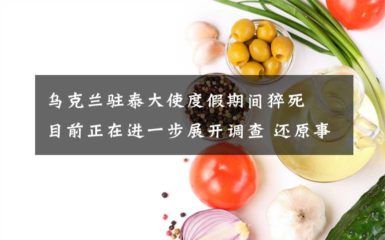 乌克兰驻泰大使度假期间猝死  目前正在进一步展开调查 还原事发经过及背后原因！