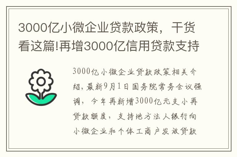3000亿小微企业贷款政策,干货看这篇!再增3000亿信用贷款支持小微企业,政策来了您准备好了吗