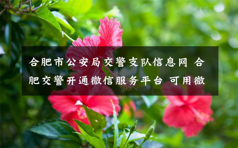 合肥市公安局交警支队信息网 合肥交警开通微信服务平台 可用微信查路况预约车检