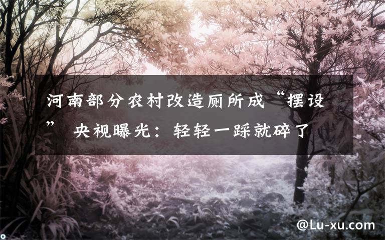 河南部分农村改造厕所成“摆设” 央视曝光：轻轻一踩就碎了