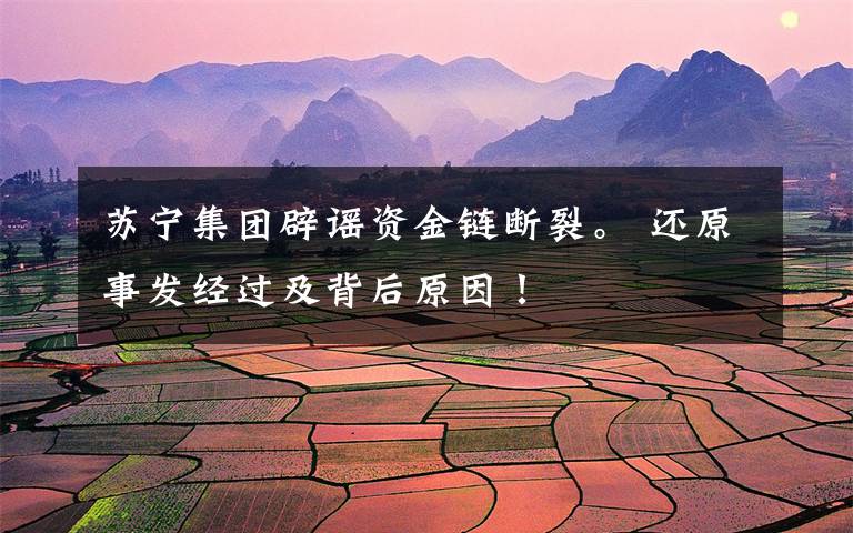 苏宁集团辟谣资金链断裂。 还原事发经过及背后原因!