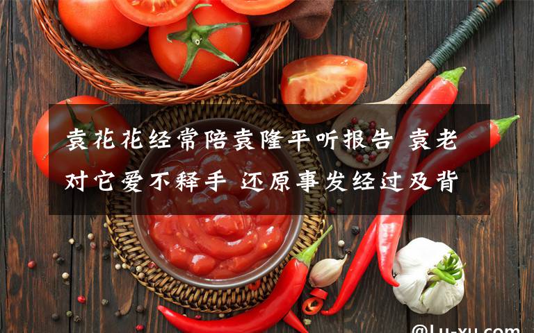 袁花花经常陪袁隆平听报告 袁老对它爱不释手 还原事发经过及背后原因!