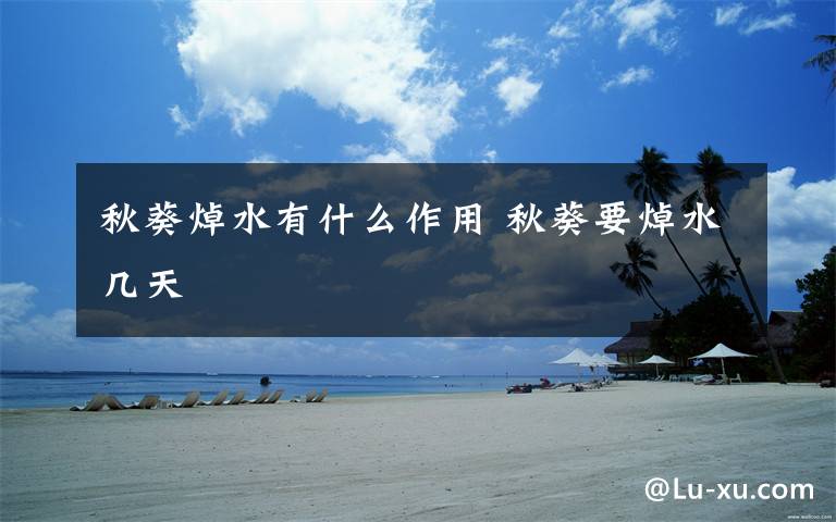 秋葵焯水有什么作用 秋葵要焯水几天