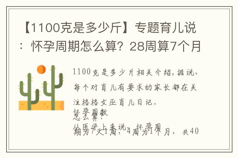 【1100克是多少斤】专题育儿说：怀孕周期怎么算？28周算7个月吗？