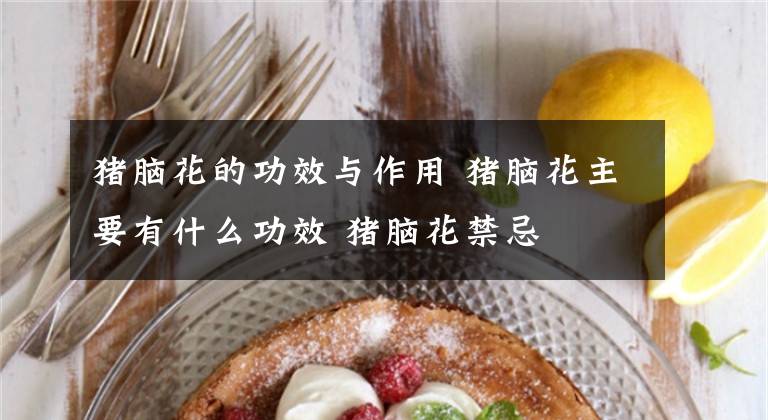 猪脑花的功效与作用 猪脑花主要有什么功效 猪脑花禁忌