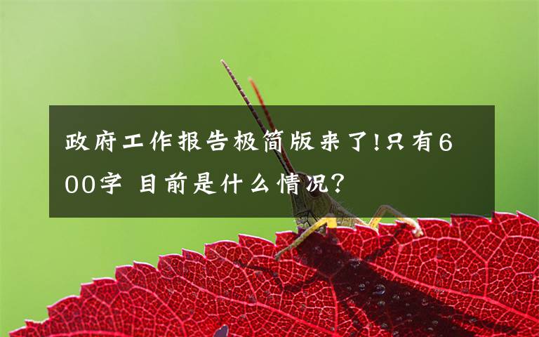 政府工作报告极简版来了!只有600字 目前是什么情况?
