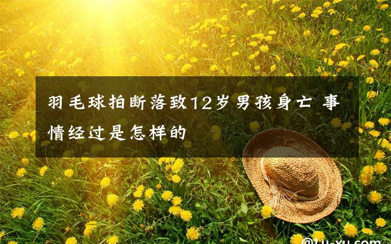 羽毛球拍断落致12岁男孩身亡 事情经过是怎样的