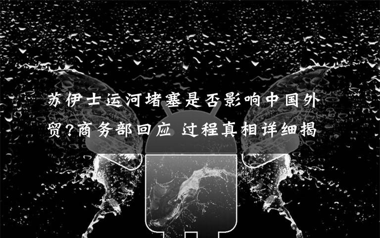 苏伊士运河堵塞是否影响中国外贸?商务部回应 过程真相详细揭秘!