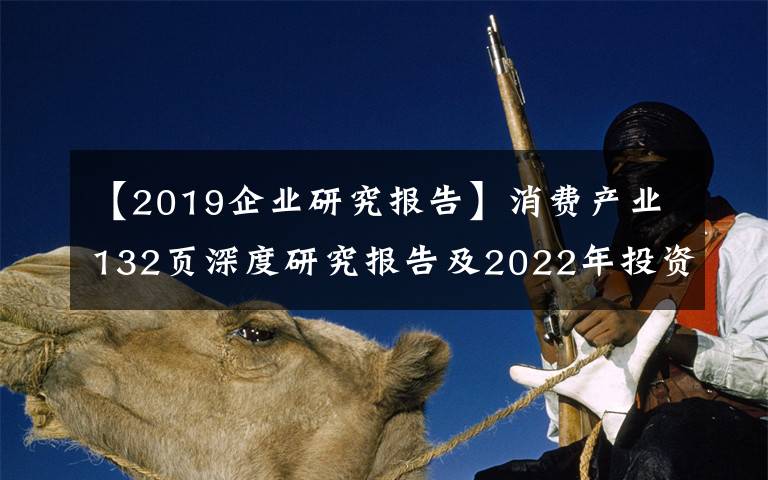 【2019企业研究报告】消费产业132页深度研究报告及2022年投资策略