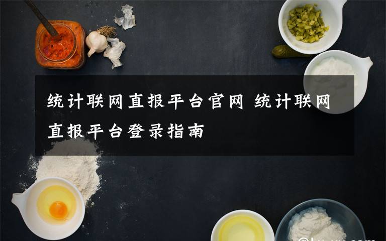 统计联网直报平台官网 统计联网直报平台登录指南