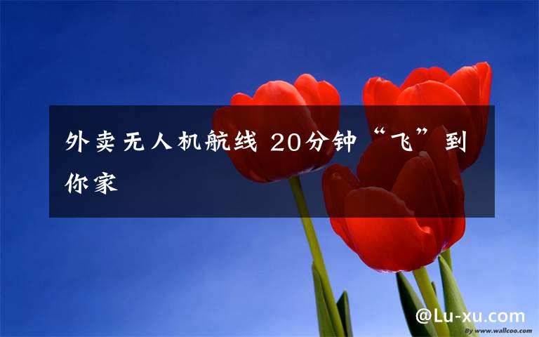 外卖无人机航线 20分钟“飞”到你家