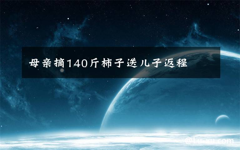 母亲摘140斤柿子送儿子返程