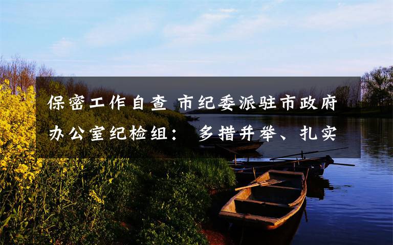 保密工作自查 市纪委派驻市政府办公室纪检组： 多措并举、扎实开展保密工作自查自纠