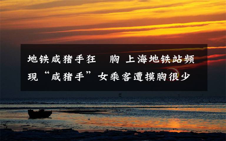 地铁咸猪手狂楺胸 上海地铁站频现“咸猪手”女乘客遭摸胸很少反抗