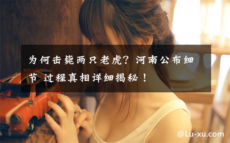 为何击毙两只老虎？河南公布细节 过程真相详细揭秘！