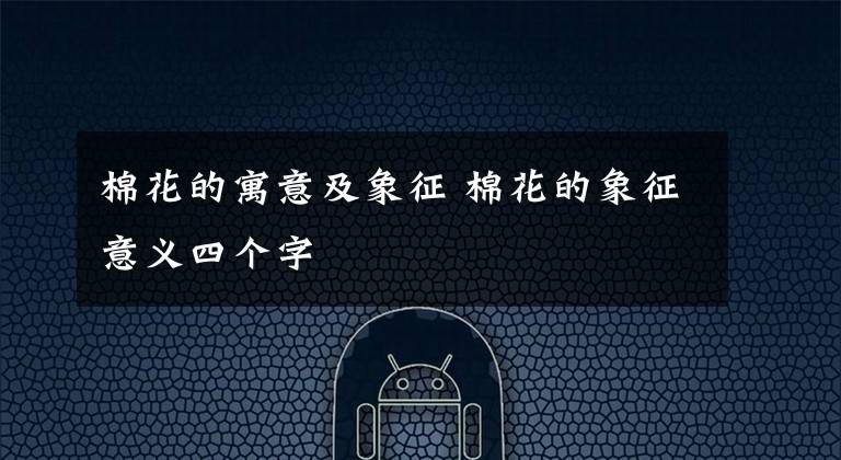 棉花的寓意及象征 棉花的象征意义四个字