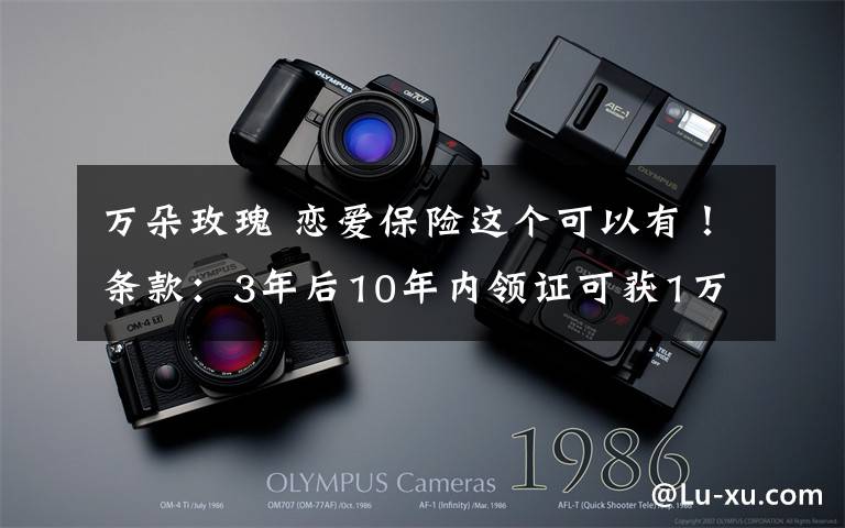 万朵玫瑰 恋爱保险这个可以有!条款:3年后10年内领证可获1万朵玫瑰