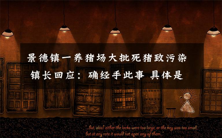 景德镇一养猪场大批死猪致污染 镇长回应:确经手此事 具体是什么情况?