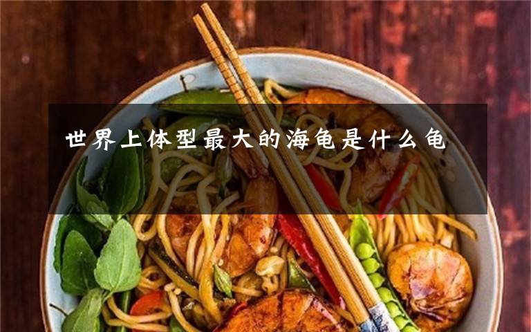 世界上体型最大的海龟是什么龟