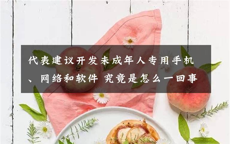 代表建议开发未成年人专用手机、网络和软件 究竟是怎么一回事?