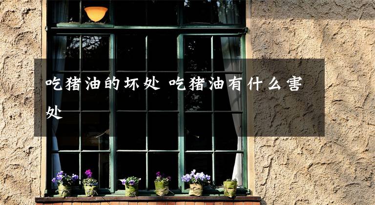 吃猪油的坏处 吃猪油有什么害处