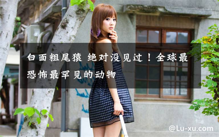 白面粗尾猿 绝对没见过!全球最恐怖最罕见的动物