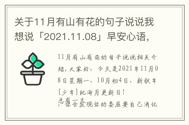 关于11月有山有花的句子说说我想说「2021.11.08」早安心语,正能量努力奋斗语录句子朋友圈说说图片