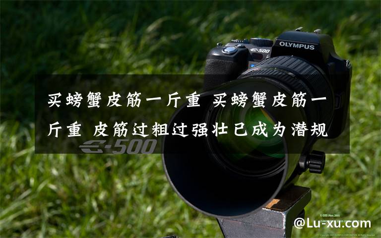 买螃蟹皮筋一斤重 买螃蟹皮筋一斤重 皮筋过粗过强壮已成为潜规则？