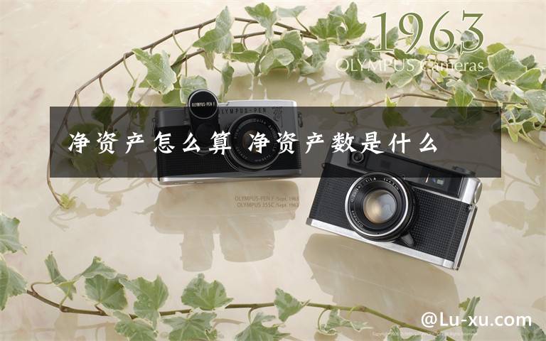 净资产怎么算 净资产数是什么