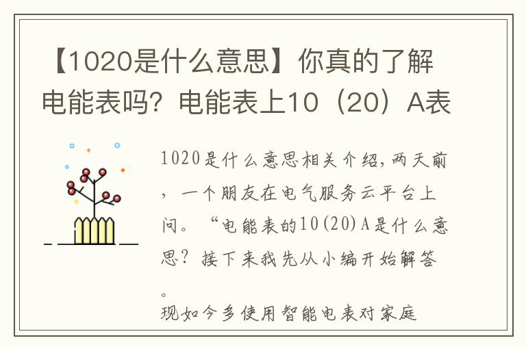 【1020是什么意思】你真的了解电能表吗?电能表上10(20)A表示什么意思?