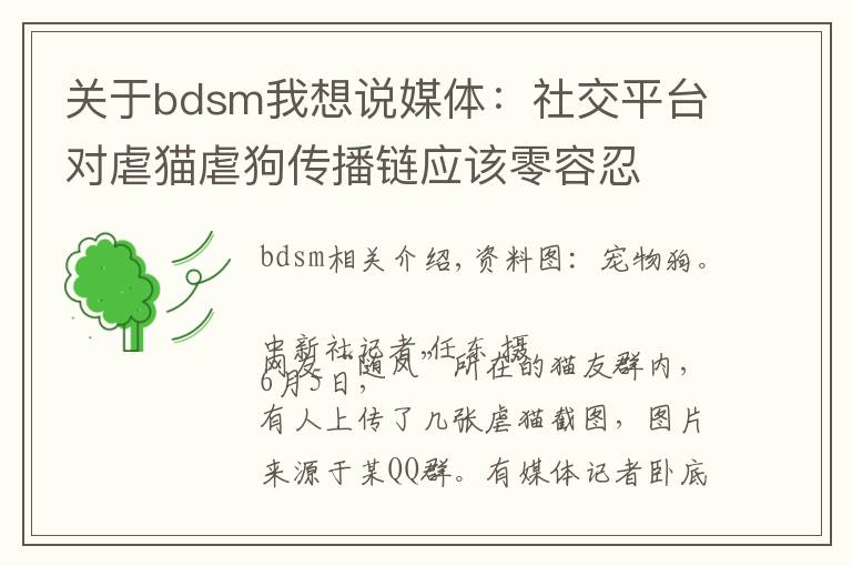 关于bdsm我想说媒体:社交平台对虐猫虐狗传播链应该零容忍