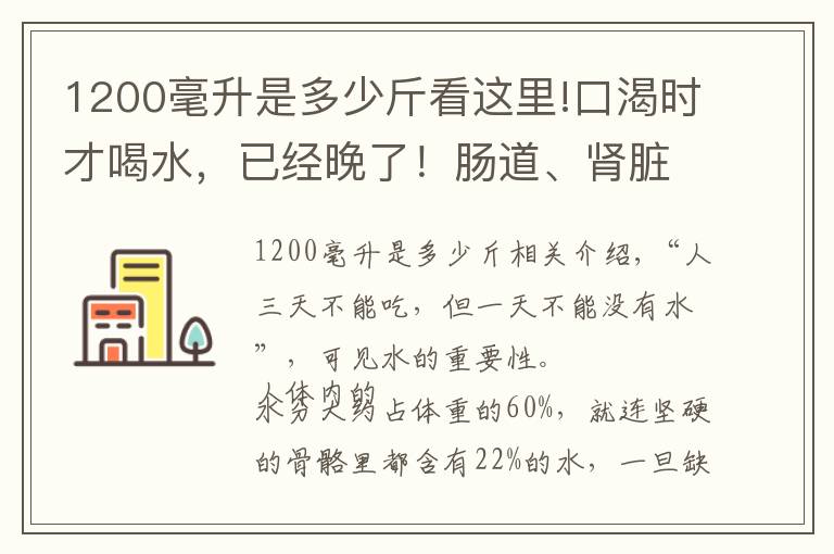 1200毫升是多少斤看这里!口渴时才喝水,已经晚了!肠道、肾脏,甚至大脑都受伤!正确喝水指南请查收