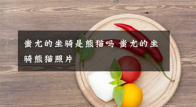 蚩尤的坐骑是熊猫吗 蚩尤的坐骑熊猫照片