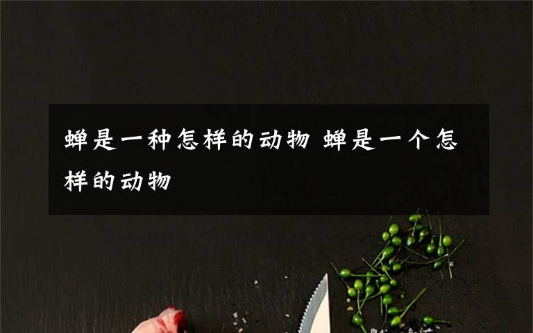 蝉是一种怎样的动物 蝉是一个怎样的动物
