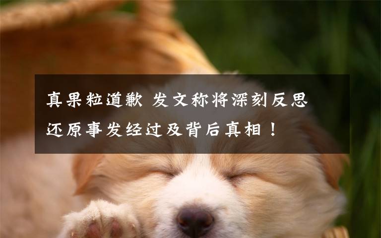 真果粒道歉 发文称将深刻反思 还原事发经过及背后真相!