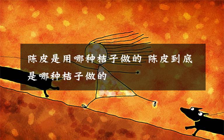 陈皮是用哪种桔子做的 陈皮到底是哪种桔子做的