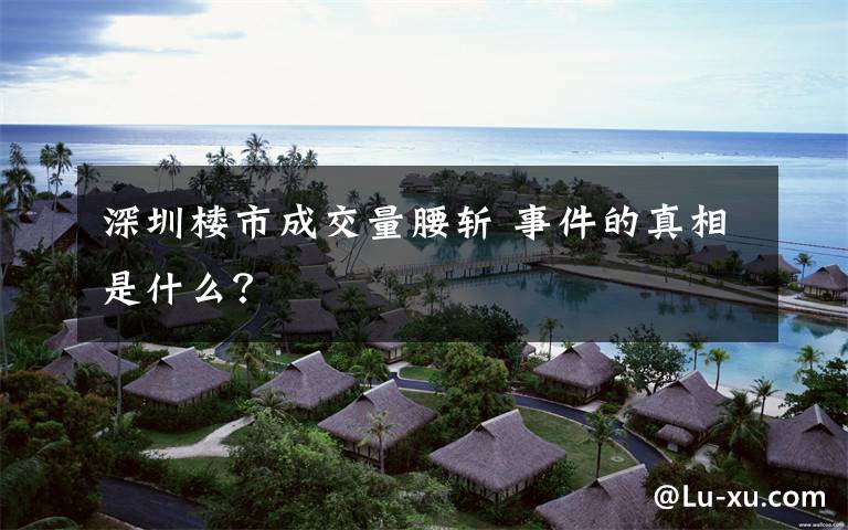 深圳楼市成交量腰斩 事件的真相是什么？