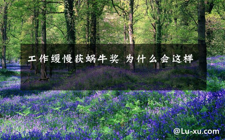 工作缓慢获蜗牛奖 为什么会这样