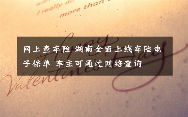 网上查车险 湖南全面上线车险电子保单 车主可通过网络查询