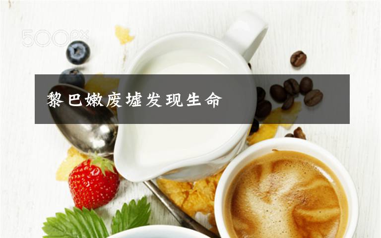 黎巴嫩废墟发现生命